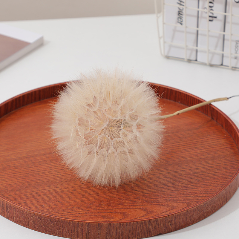 Kurutulmuş Karahindiba DIY Epo - Resin Crafts incelemesi ve fiyatı